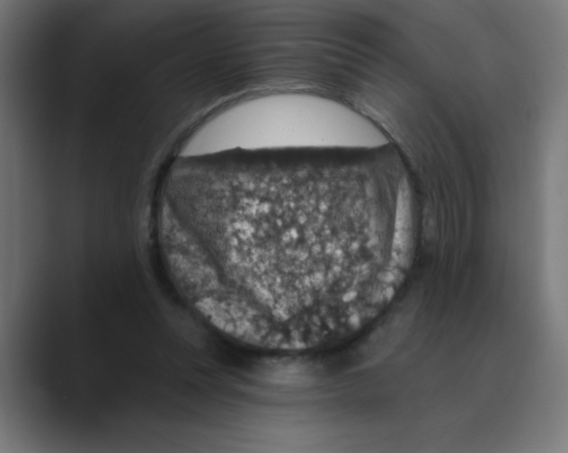 X0000088430351200706191238