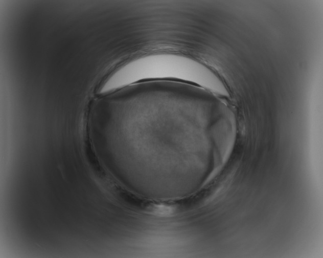 X0000088430352200706191238