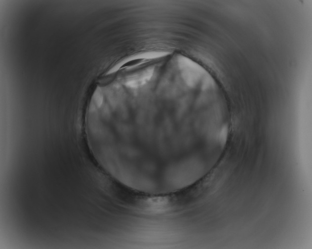 X0000088430353200706191238