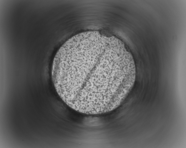 X0000088430354200706191238