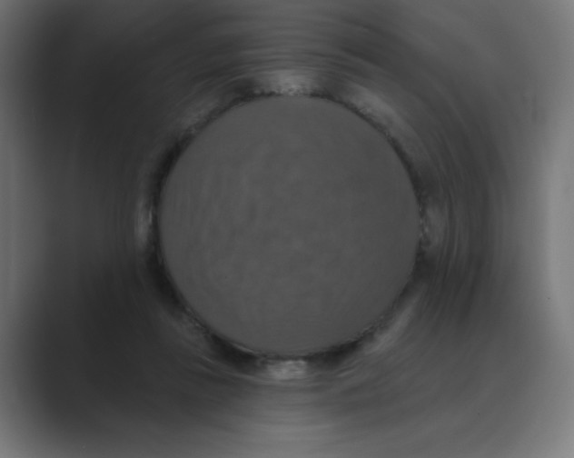 X0000088430355200706191238