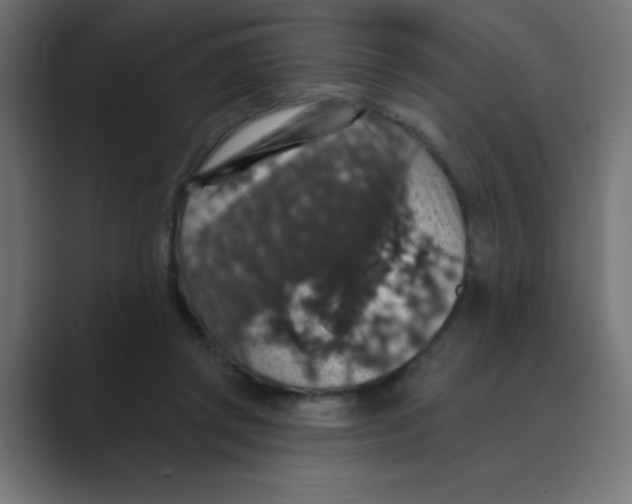 X0000088430357200706191238