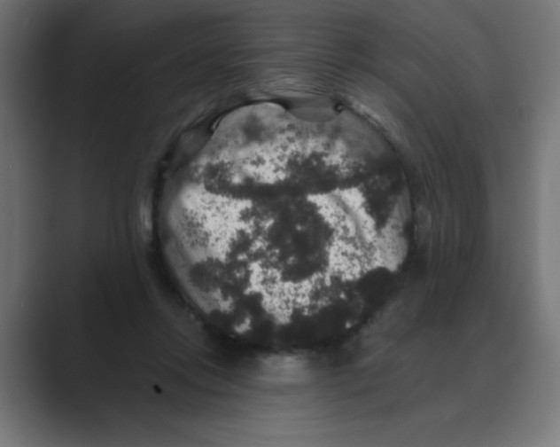 X0000088430358200706191238