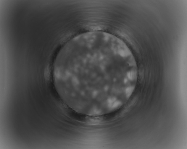 X0000088430359200706191238