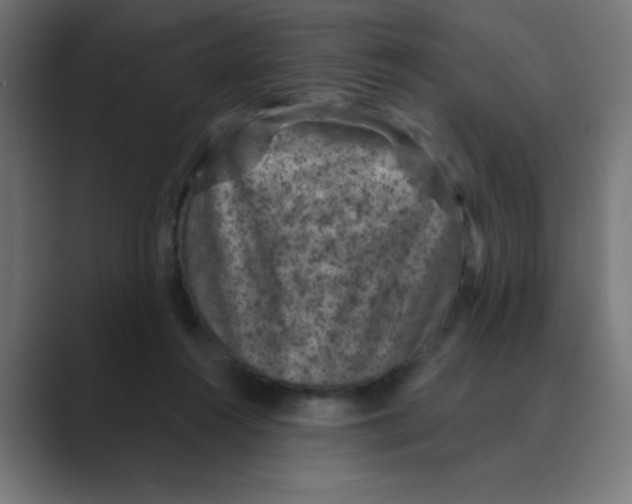 X0000088430360200706191238