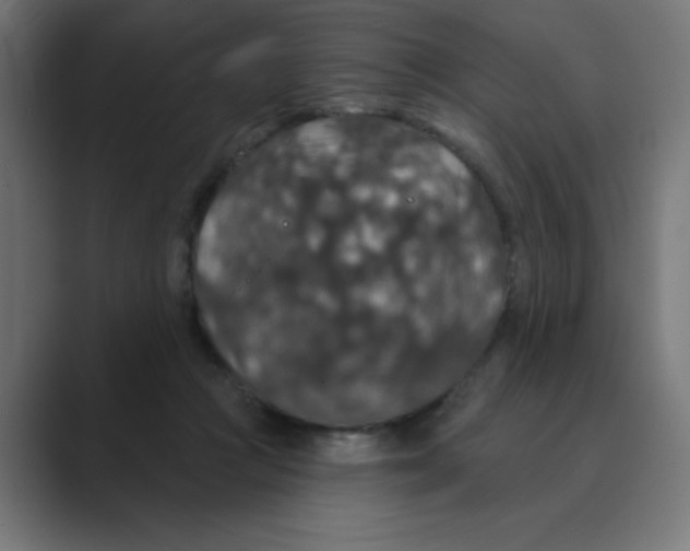 X0000088430361200706191238