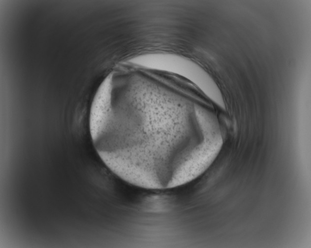 X0000088430364200706191238