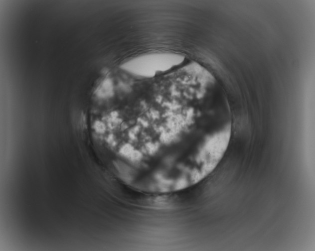 X0000088430365200706191238