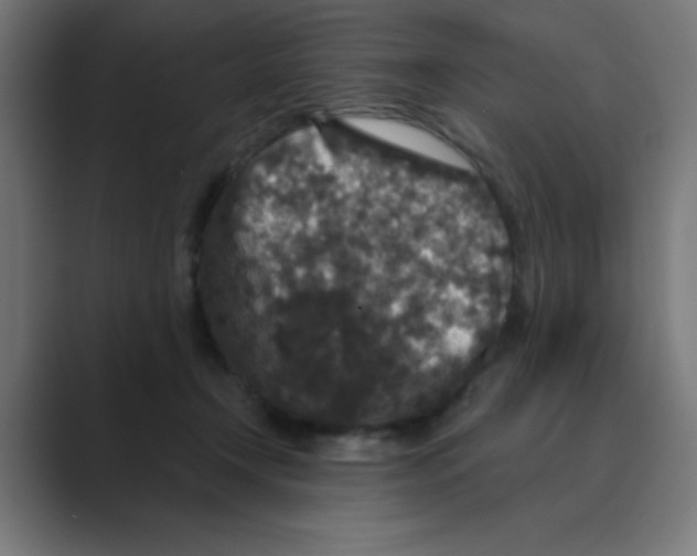 X0000088430366200706191238