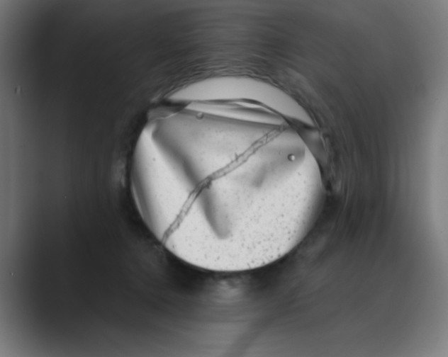 X0000088430368200706191238