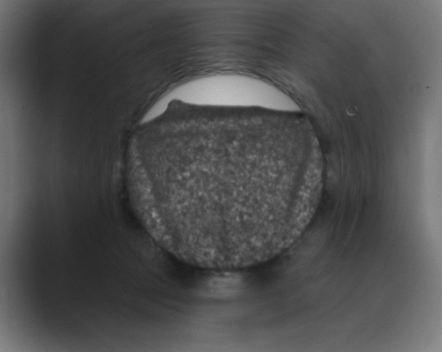 X0000088430369200706191238