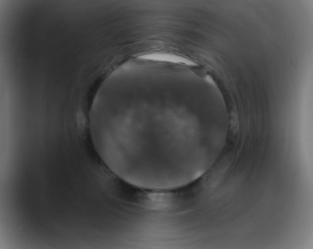 X0000088430371200706191238