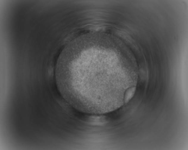 X0000088430375200706191238