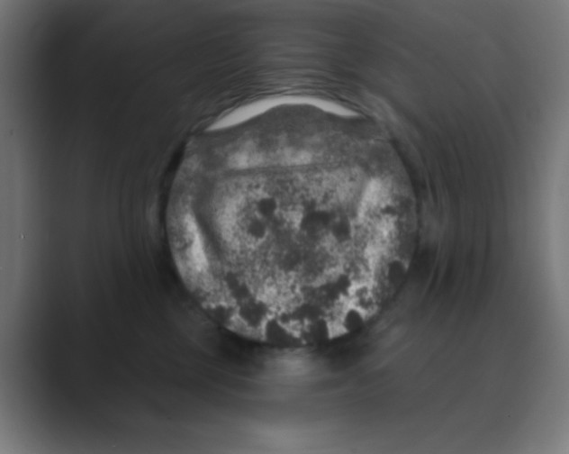 X0000088430377200706191238