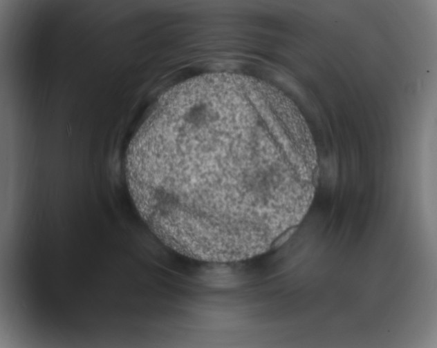 X0000088430381200706191238