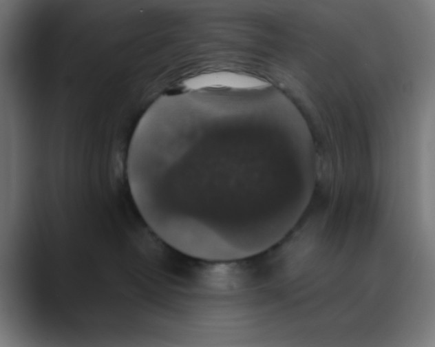 X0000088430382200706191238