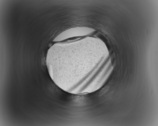 X0000088430384200706191238