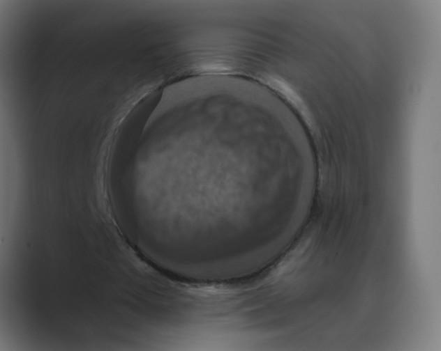 X0000088430385200706191238