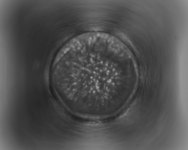 X0000088430386200706191238