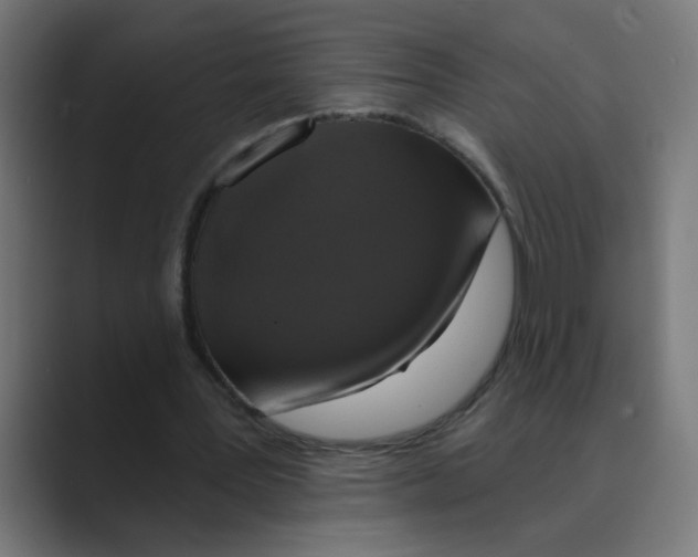 X0000088430387200706191238