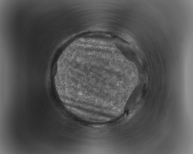 X0000088430388200706191238