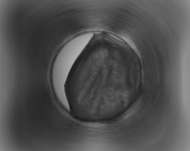 X0000088430389200706191238