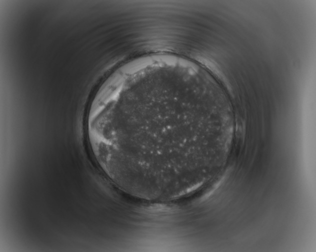 X0000088430390200706191238