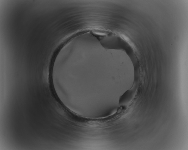 X0000088430391200706191238