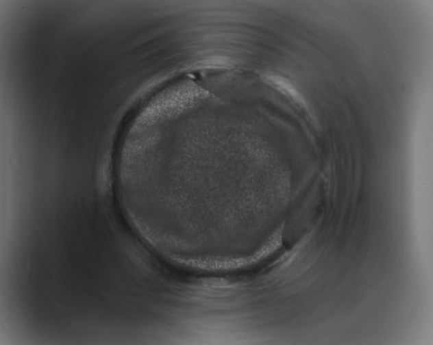 X0000088430392200706191238