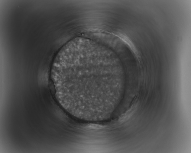 X0000088430393200706191238