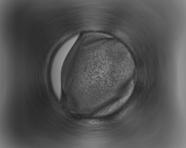 X0000088430395200706191238