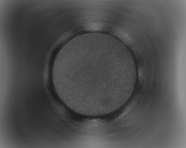 X0000088430396200706191238