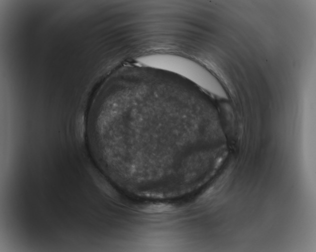 X0000088430397200706191238