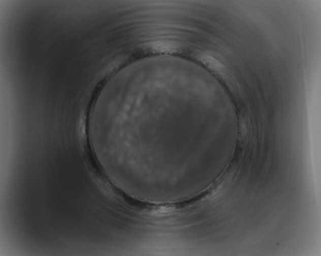 X0000088430398200706191238
