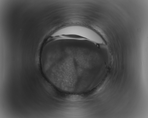 X0000088430399200706191238