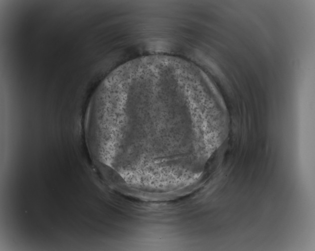 X0000088430401200706191238