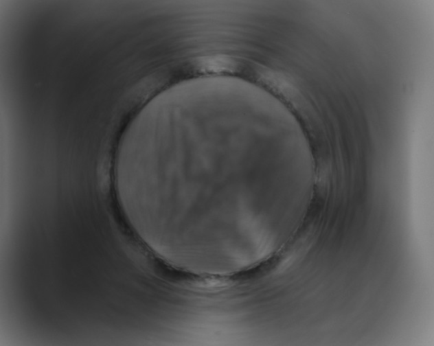 X0000088430402200706191238