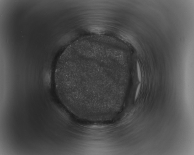 X0000088430404200706191238