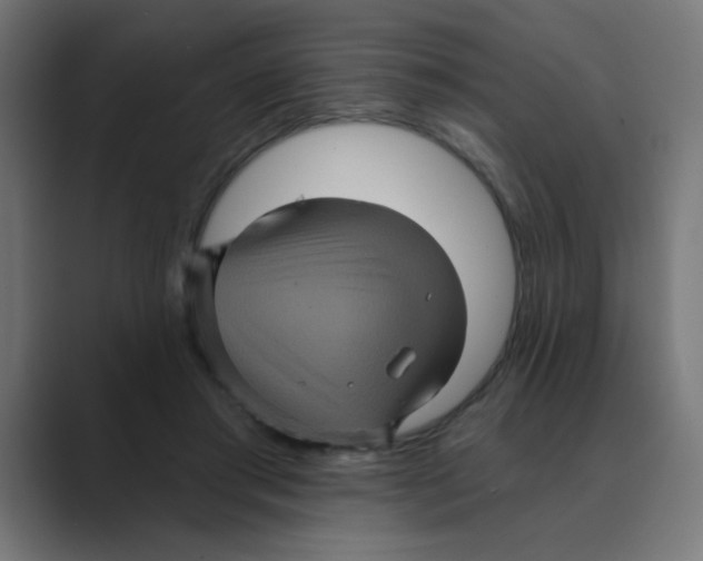 X0000088430405200706191238