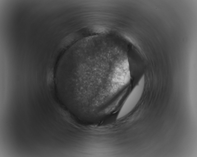X0000088430407200706191238