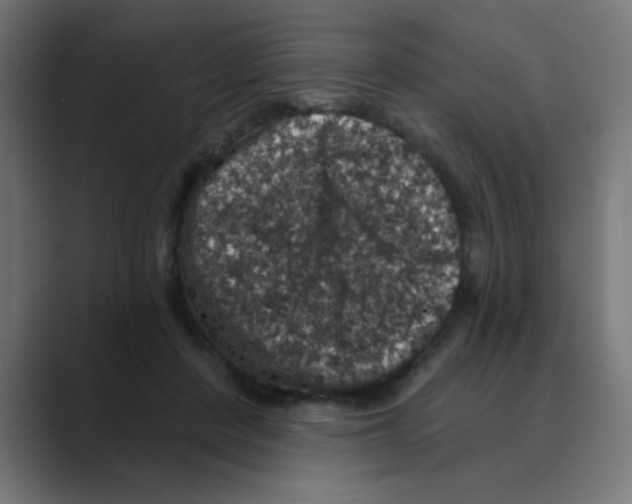X0000088430408200706191238