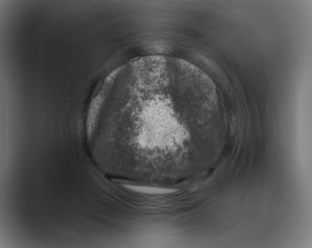 X0000088430409200706191238