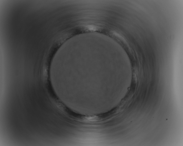 X0000088430410200706191238