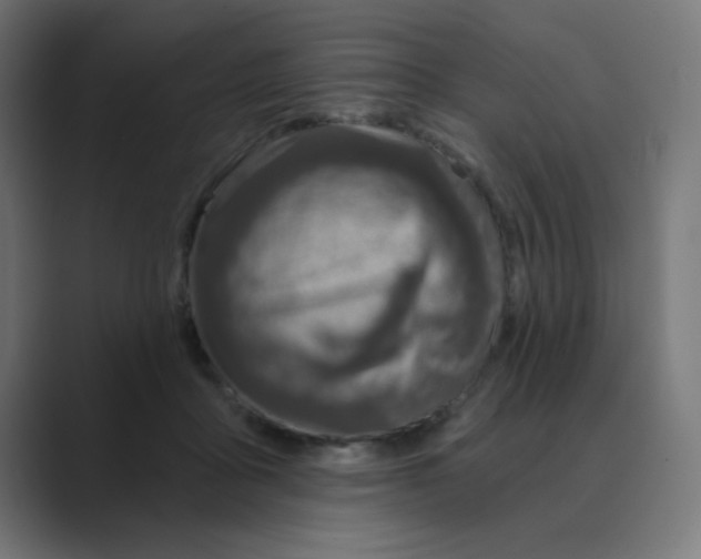 X0000088430411200706191238