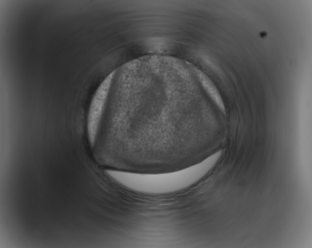 X0000088430413200706191238