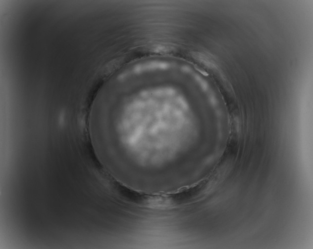 X0000088430415200706191238