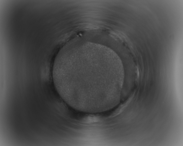 X0000088430416200706191238
