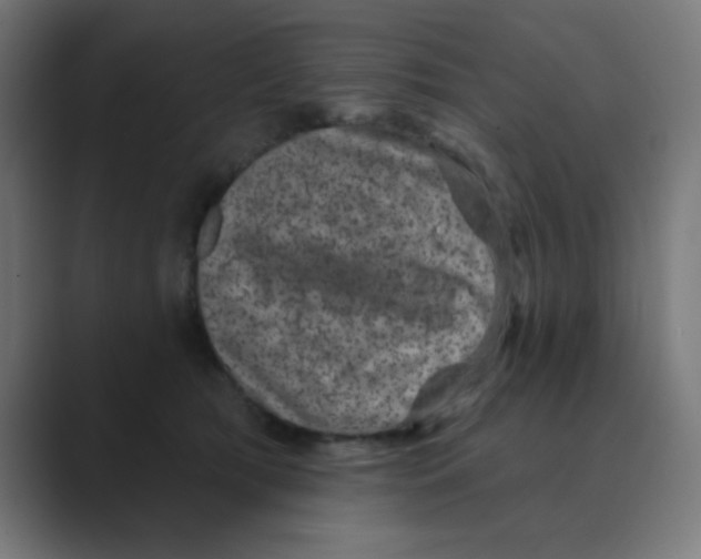 X0000088430417200706191237