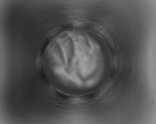 X0000088430419200706191237