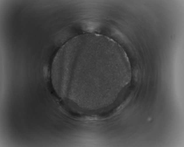 X0000088430420200706191237
